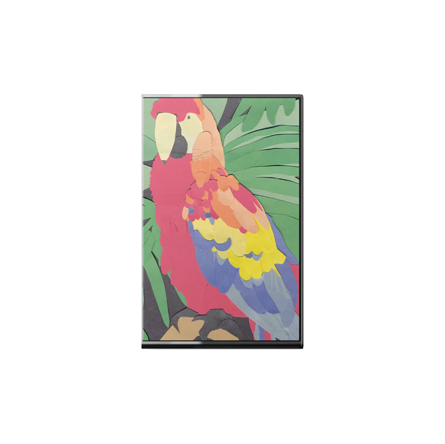 Algernon Cadwallader "Parrot Flies" CS