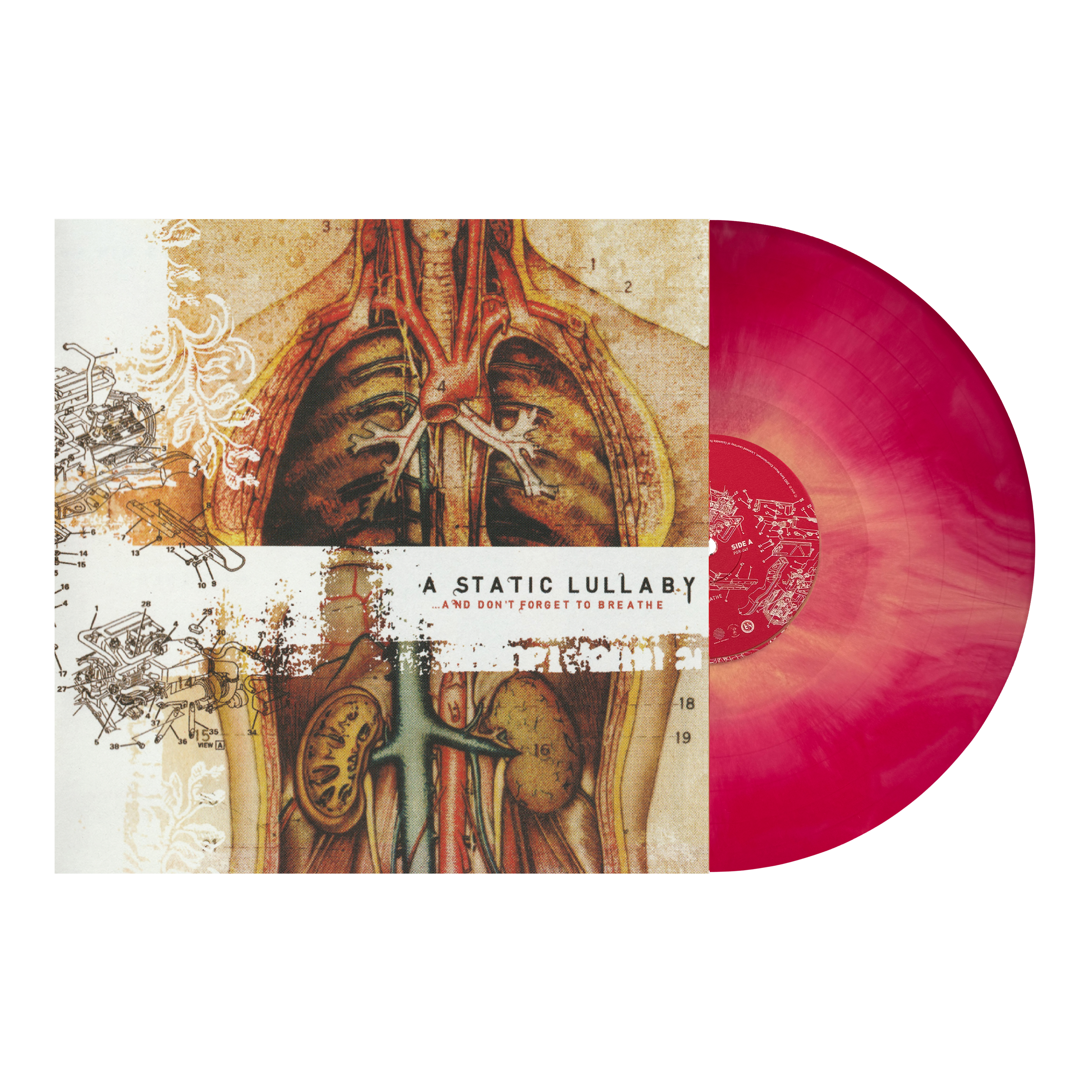 A Static Lullaby “…And Don’t Forget To Breathe