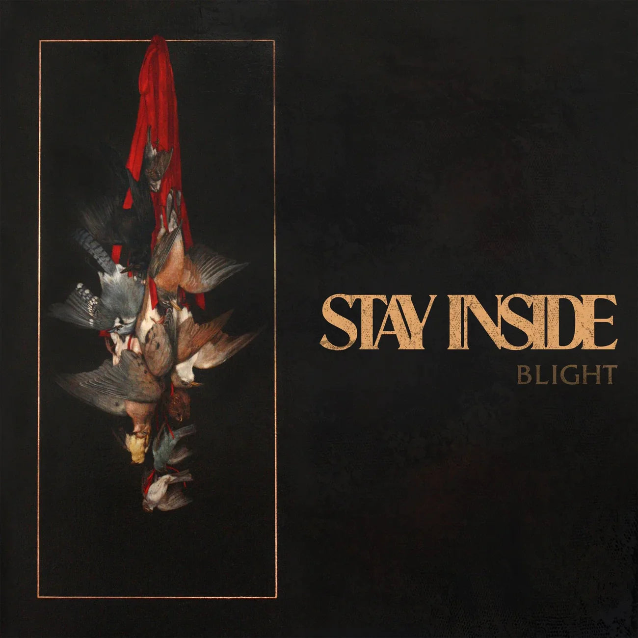Stay Inside "Blight" CS