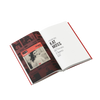 '100 WORDS OR LESS: Interviews from Independent Culture' Ray Harkins Book