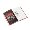 '100 WORDS OR LESS: Interviews from Independent Culture' Ray Harkins Book