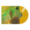 Adam Rubenstein  'Firebreak' LP