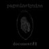 Pageninetynine 'Document #8 (25th Anniversary)' LP