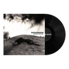 Rhododendron 'Ascent Effort' LP