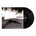 Rhododendron 'Ascent Effort' LP