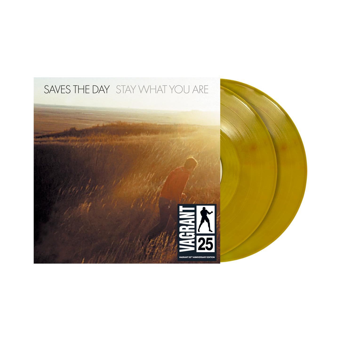 Saves The Day "Stay What You Are" 2xLP 10"