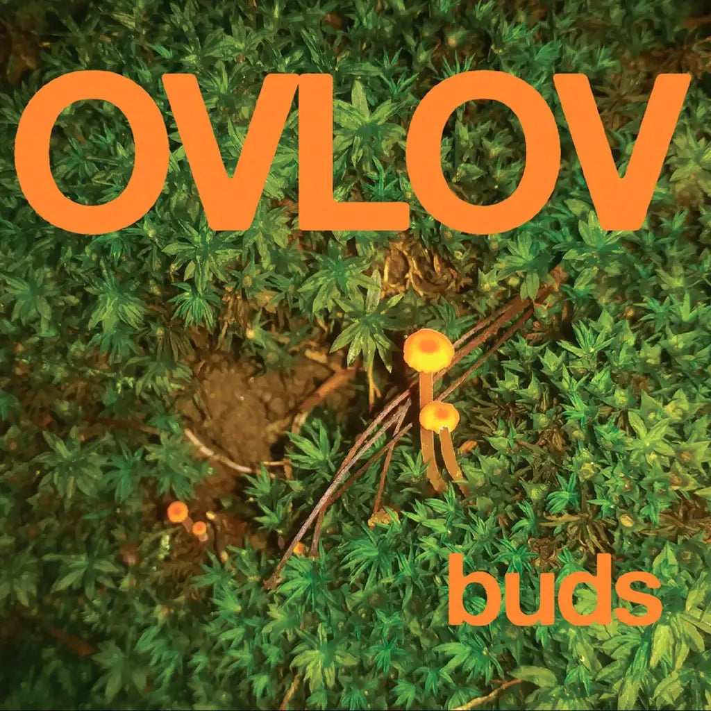 Ovlov "Buds" LP