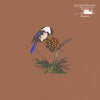 Peel Dream Magazine - Taurus LP