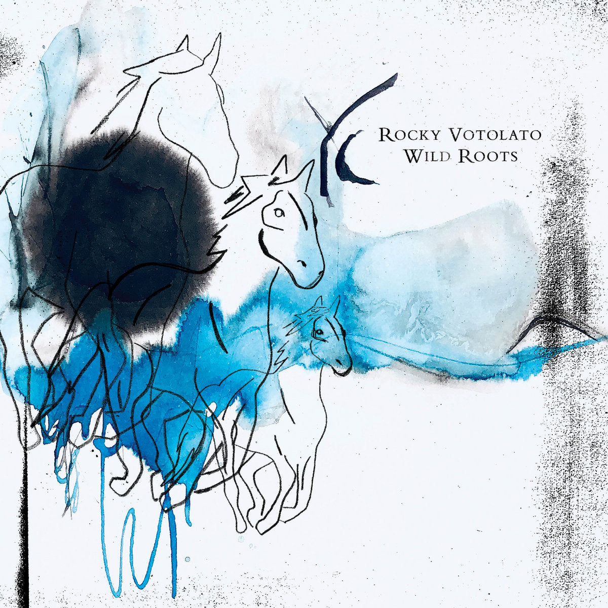 Rocky Votolato  "Wild Roots" LP